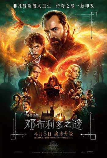 神奇动物：邓布利多之谜（2022）