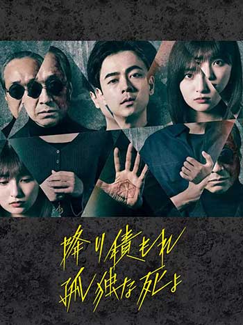 如积雪般的永寂（2024）