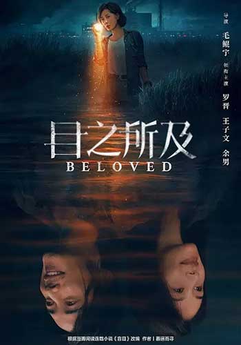 目之所及（2025）
