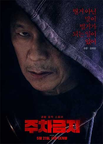 禁止停车（2025）