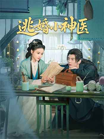 逃婚小神医（2026）
