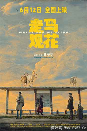 走马观花（2026）