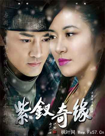 紫钗奇缘（2013）
