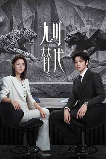 无可替代（2026）
